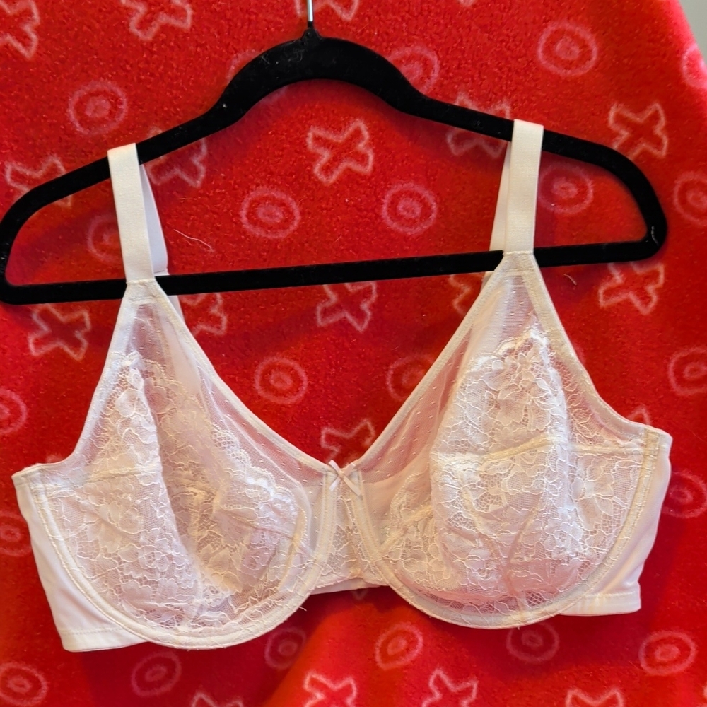 HSIA Lace Underwire Bra Size 42DD